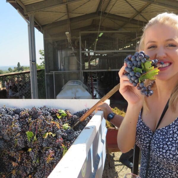 Girl smiling while holding some grapes in a winery