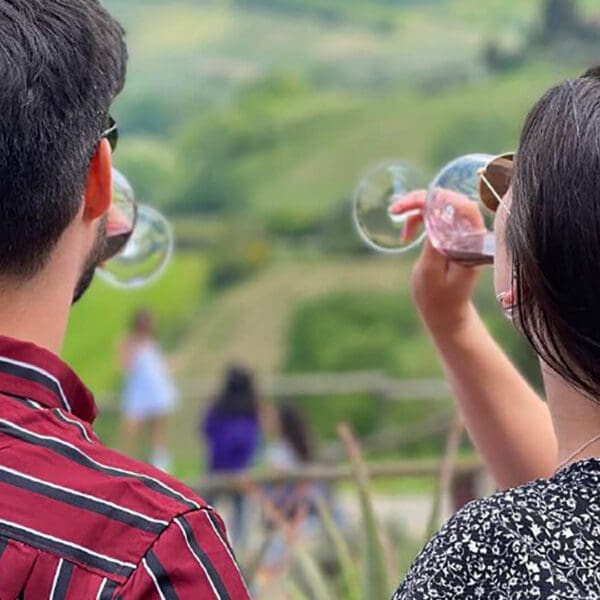 A couple drinking wine as seen from the back