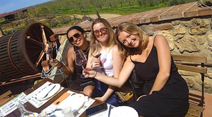 Smiling girls sitting outside and raising their wine glasses