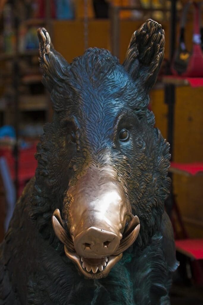 Pietro Tacca's bronze Porcellino