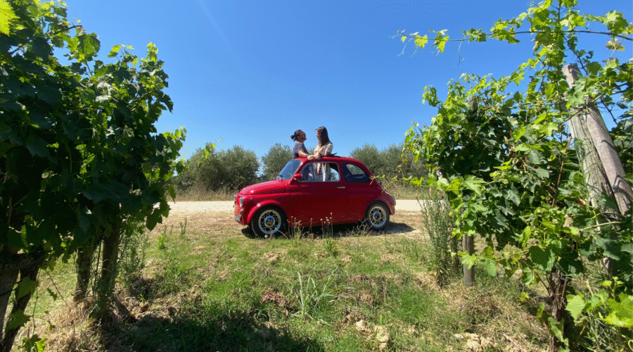 Tuscany wine tour by Vintage Fiat 500